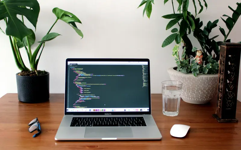 Laptop showing code on a wooden desk with plants